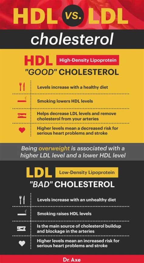 hdklh|HDL cholesterol: How to boost your 'good' cholesterol.